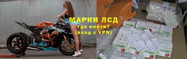 прущие грибы Переславль-Залесский
