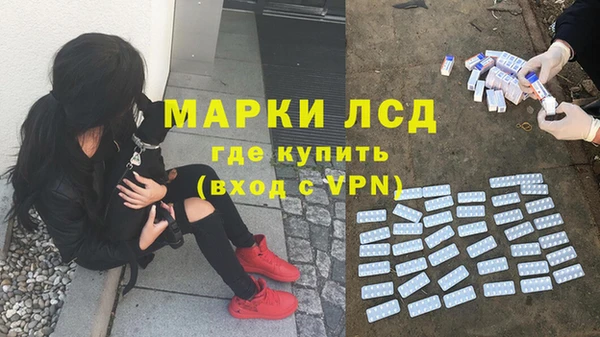 спиды Пестово