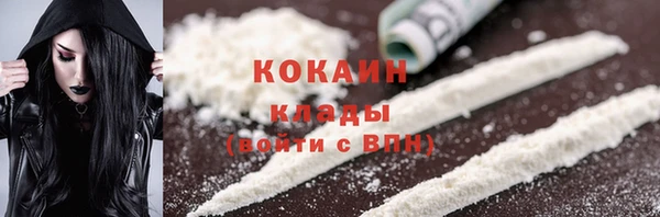 прущие грибы Переславль-Залесский