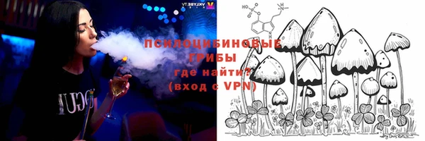 прущие грибы Переславль-Залесский