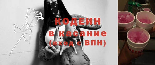 прущие грибы Переславль-Залесский