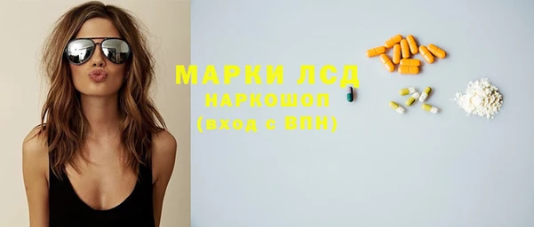 прущие грибы Переславль-Залесский