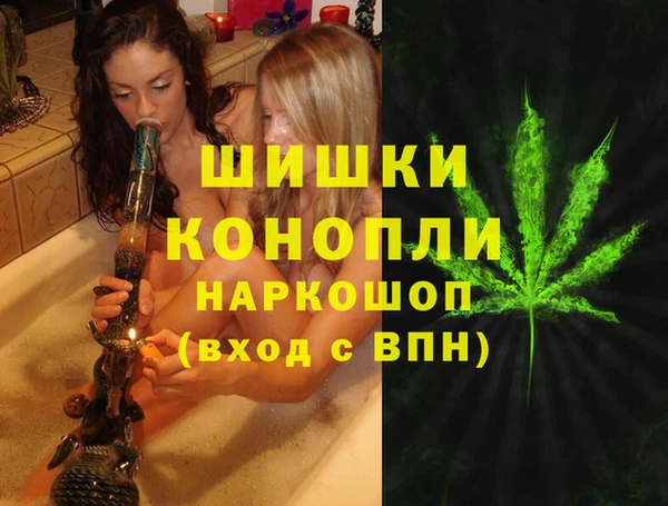 спиды Пестово
